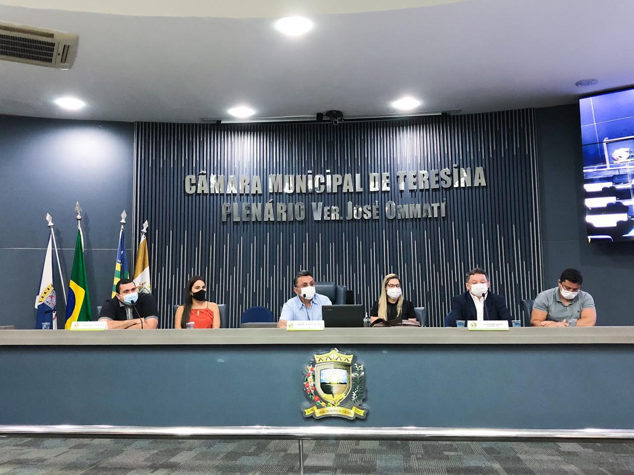 Audiência pública na Câmara discutiu a questão da Covid-19 em Teresina